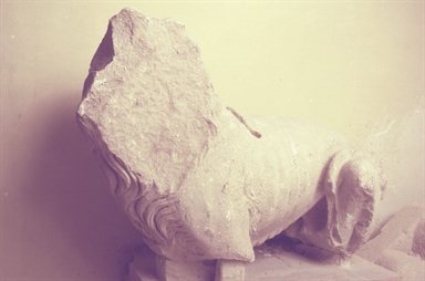 Simbolo di San marco: leone.